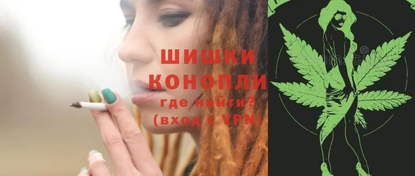мяу мяу мука Дмитриев