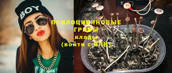 spice Пересвет