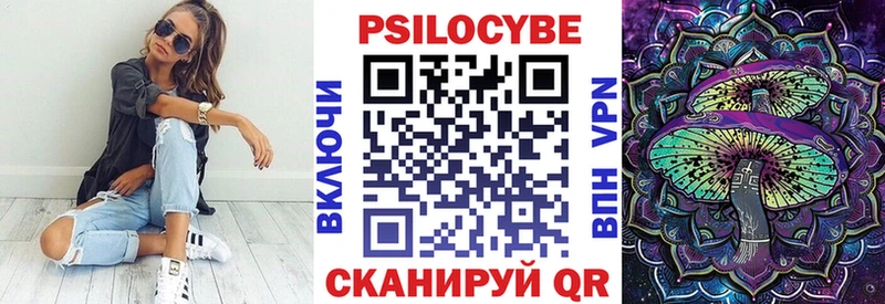 дарнет шоп  Сретенск  Псилоцибиновые грибы Psilocybine cubensis 